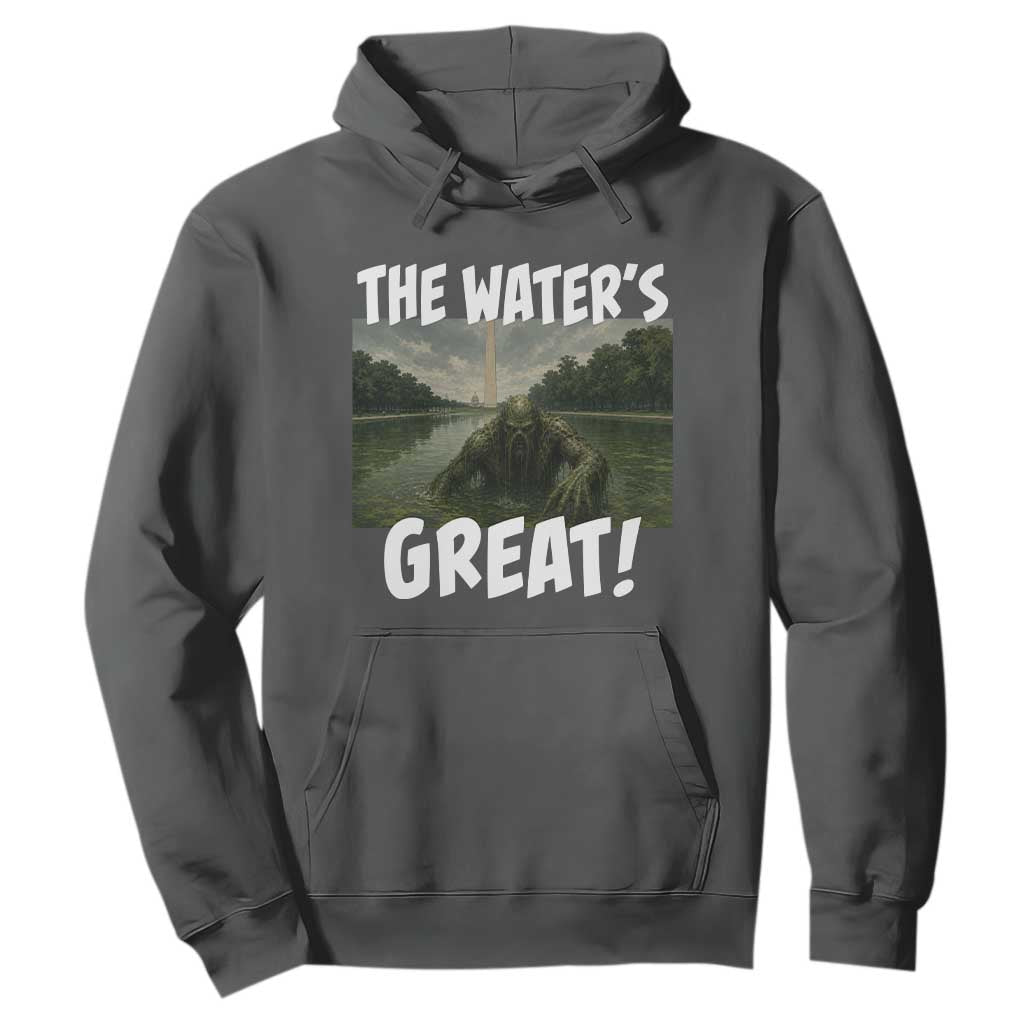 The Water is Great Swamp Monster Reflecting Pool Hoodie Funny Washington DC Algae Creature Meme TS02 Dark Heather Print Your Wear
