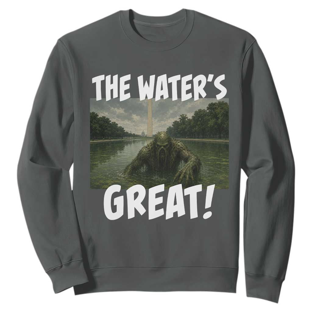 The Water is Great Swamp Monster Reflecting Pool Sweatshirt Funny Washington DC Algae Creature Meme TS02 Dark Heather Print Your Wear