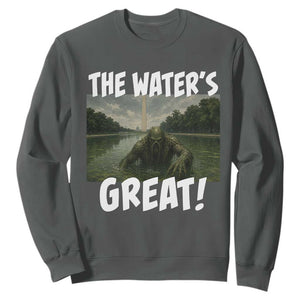 The Water is Great Swamp Monster Reflecting Pool Sweatshirt Funny Washington DC Algae Creature Meme TS02 Dark Heather Print Your Wear