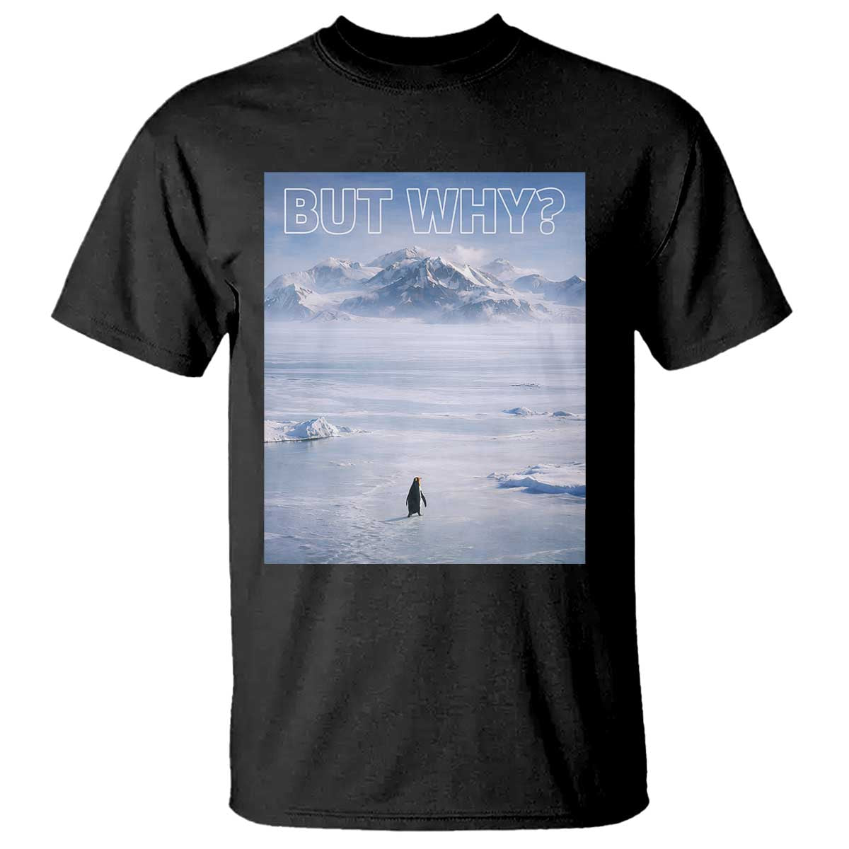Funny Nihilist Penguin But Why Meme T Shirt Existential Arctic Scene Icy Wilderness Quiet Thinkers TS02 Black Print Your Wear