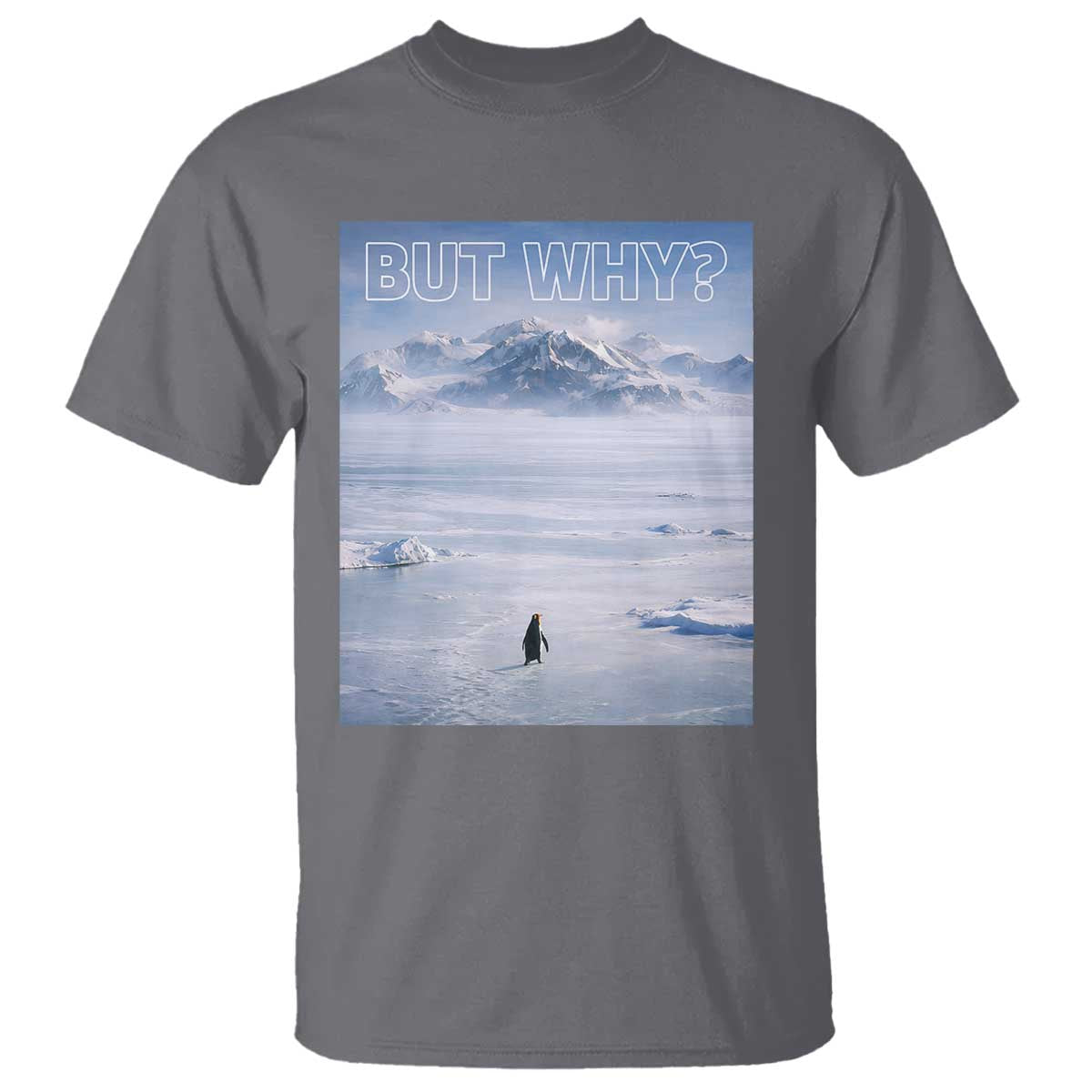 Funny Nihilist Penguin But Why Meme T Shirt Existential Arctic Scene Icy Wilderness Quiet Thinkers TS02 Charcoal Print Your Wear