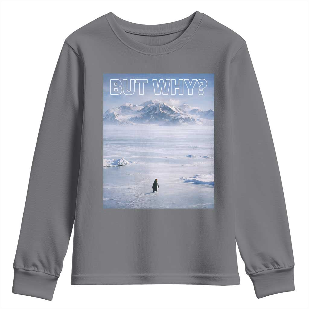 Funny Nihilist Penguin But Why Meme Youth Sweatshirt Existential Arctic Scene Icy Wilderness Quiet Thinkers TS02 Charcoal Print Your Wear