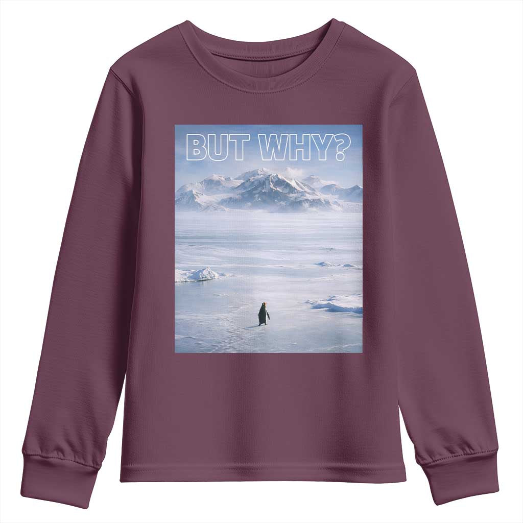 Funny Nihilist Penguin But Why Meme Youth Sweatshirt Existential Arctic Scene Icy Wilderness Quiet Thinkers TS02 Maroon Print Your Wear