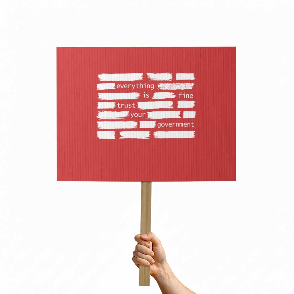 Everything Is Fine Trust Your Government Protest Sign Sarcastic Flag Political Satire Humor TS02 Horizontal 18