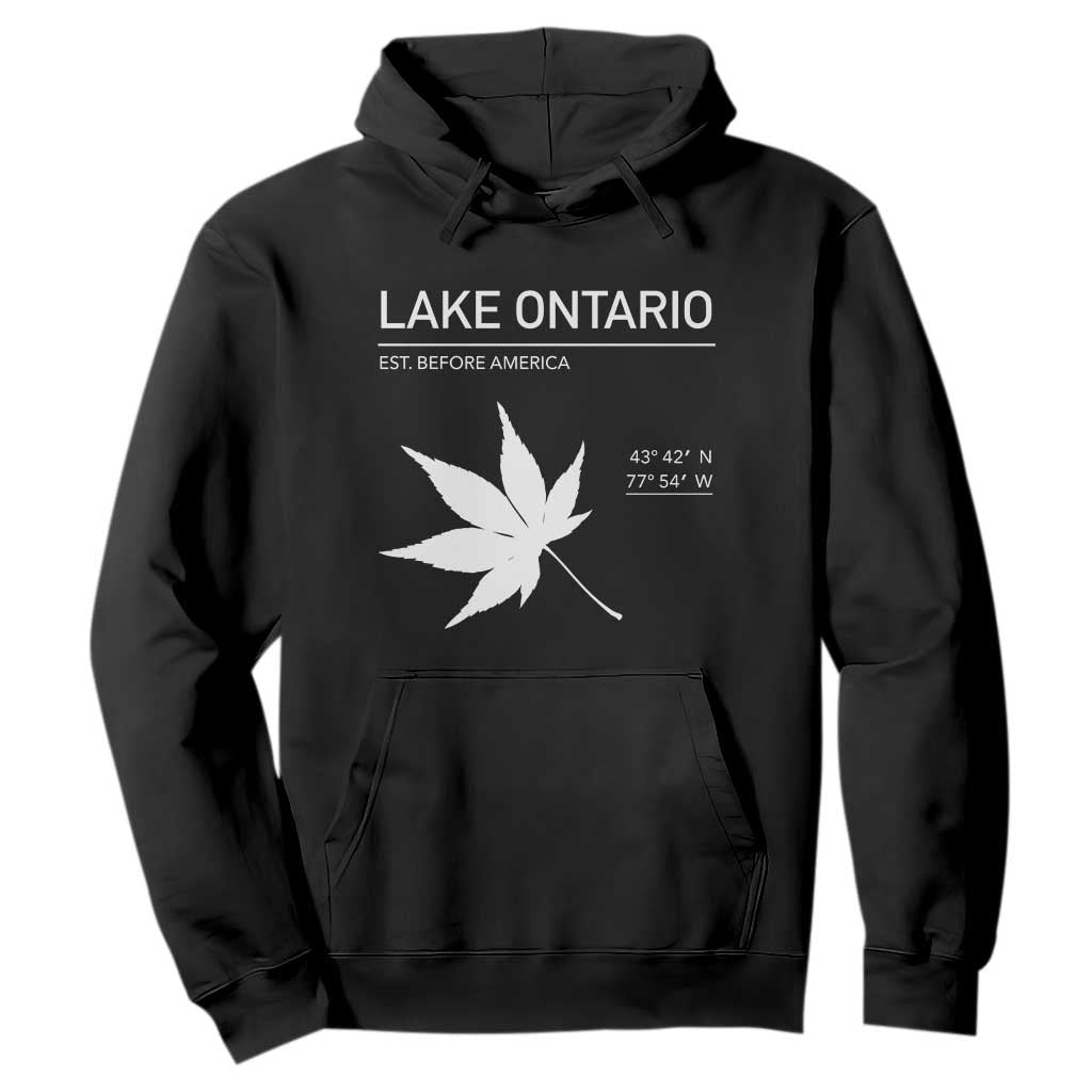 Lake Ontario Est Before America Satire Hoodie Funny Lake Life Modern Minimalist Outdoor Travel Gift