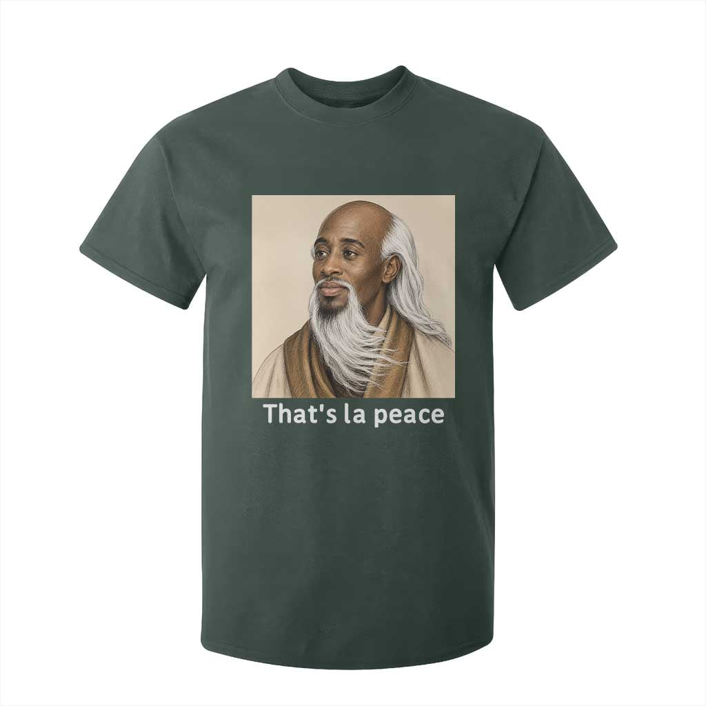 Thats La Peace Wise Sage Meme T Shirt For Kid Ancient Zen Master Chill Inner Calm Sketch Art Graphic