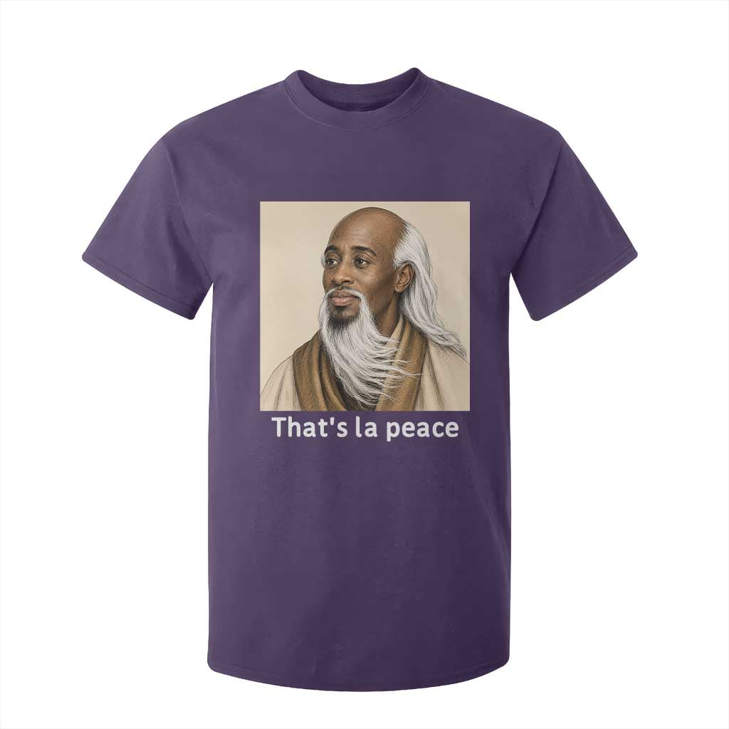 Thats La Peace Wise Sage Meme T Shirt For Kid Ancient Zen Master Chill Inner Calm Sketch Art Graphic