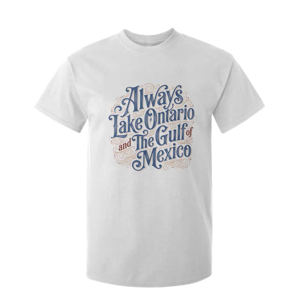 Always Lake Ontario And The Gulf Of Mexico T Shirt For Kid Vintage Typography Swirls Satire