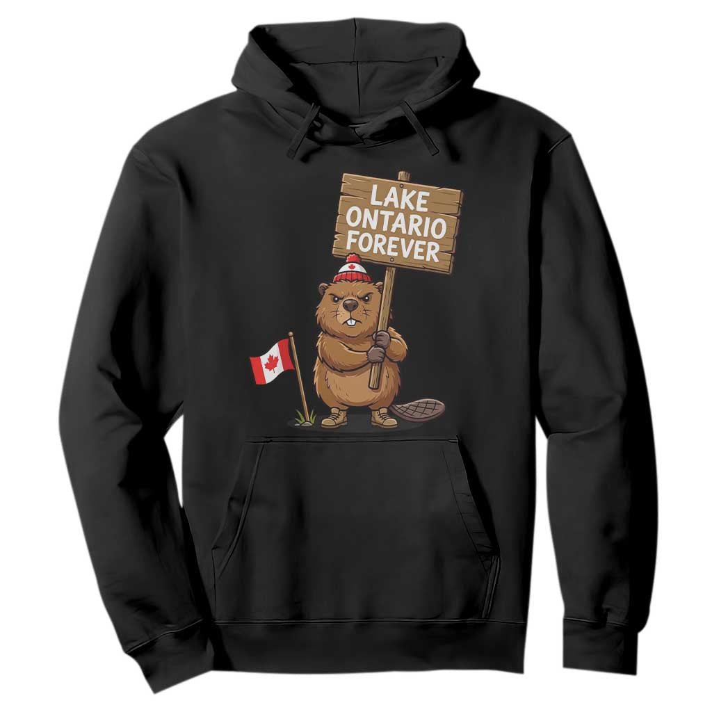 Lake Ontario Forever Canadian Beaver Resist Graphic Hoodie Funny Canadian Wildlife Pride Maplle Leaf Flag