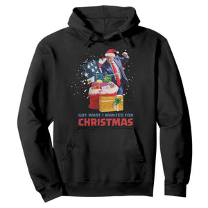 Christmas Trump Hoodie Got What I Wanted For Xmas 47th President American Flag TS02 Black Print Your Wear