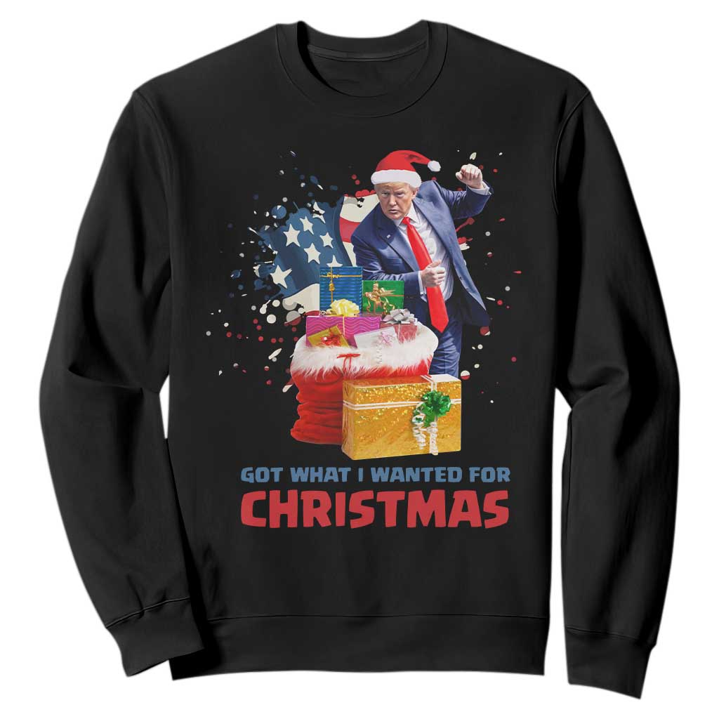 Christmas Trump Sweatshirt Got What I Wanted For Xmas 47th President American Flag TS02 Black Print Your Wear