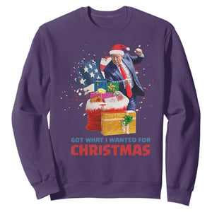 Christmas Trump Sweatshirt Got What I Wanted For Xmas 47th President American Flag TS02 Purple Print Your Wear