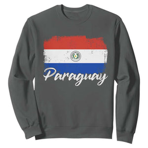 Vintage Paraguay Flag Paraguaya Heritage Pride Roots Sweatshirt TS02 Dark Heather Print Your Wear