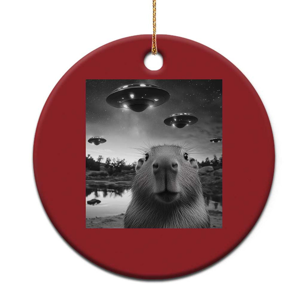 Funny Capybara Christmas Ornament Selfie With UFOs Capy Meme Graphic TS02 Print Your Wear