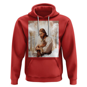 Jesus Hugs Cats Paradise Funny Christian Cat Lover Hoodie TS09 Red Printyourwear