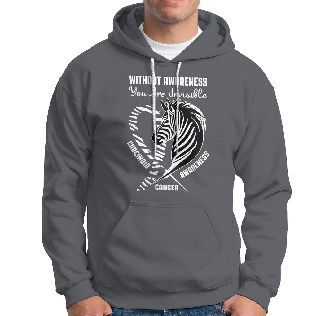 Without Awareness You Are Invisible Carcinoid Cancer Hoodie TS09 Charcoal Printyourwear