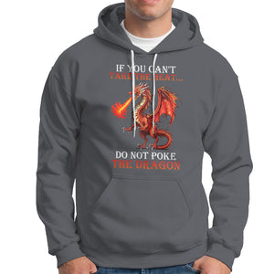 Do Not Poke The Cool Dragon Flame-Spewing Flying Mythical Creature Hoodie TS09 Charcoal Printyourwear