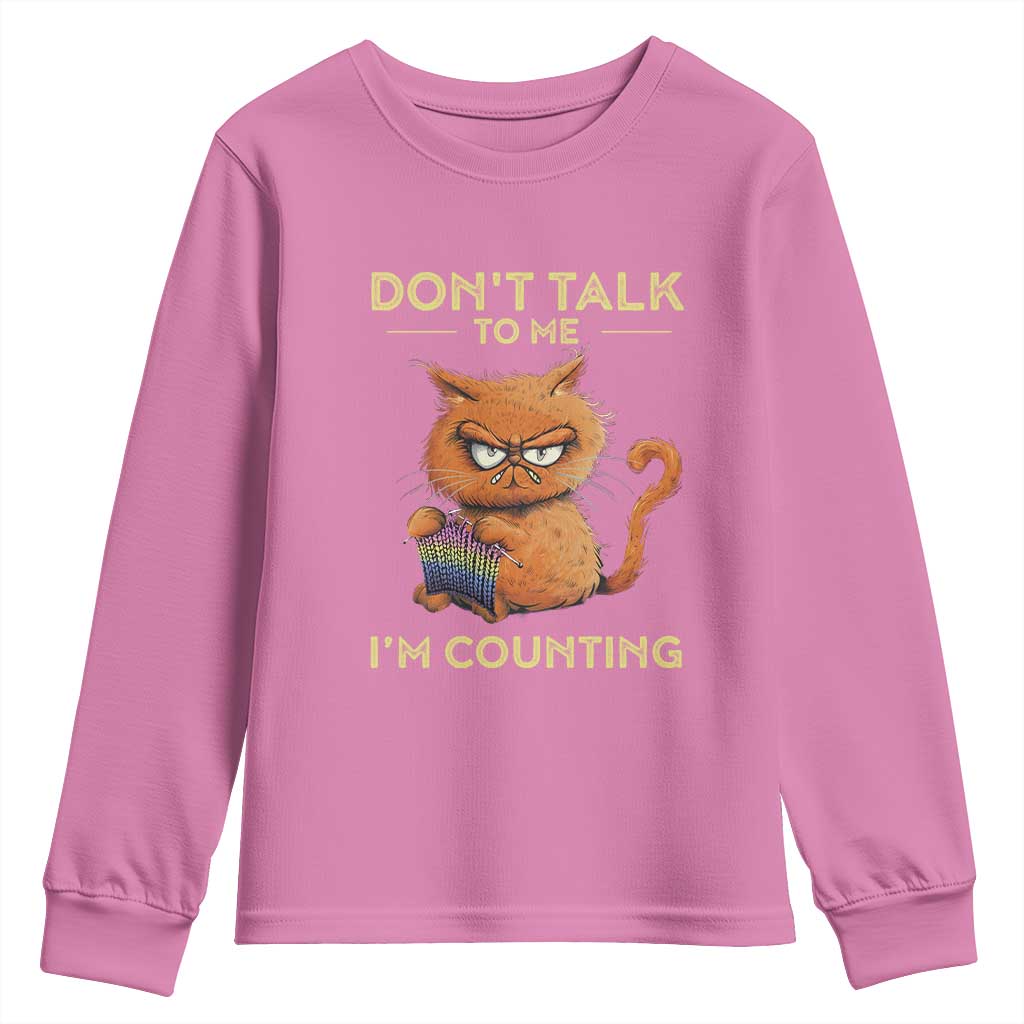 Funny Crochet Cat Youth Sweatshirt Don't Talk To Me I'm Counting TS09 Azalea Print Your Wear