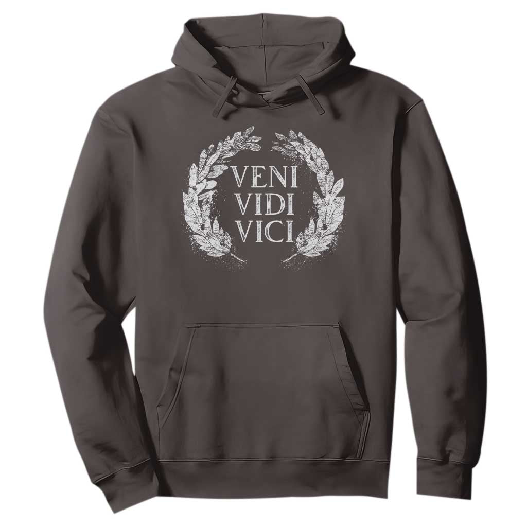 Julius Caesar Veni Vidi Vici Hoodie Latin Roman History TS09 Dark Chocolate Print Your Wear