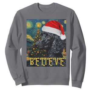 Funny Xmas Poodle Sweatshirt Believe Christmas Starry Night Dog Lover TS09 Charcoal Print Your Wear