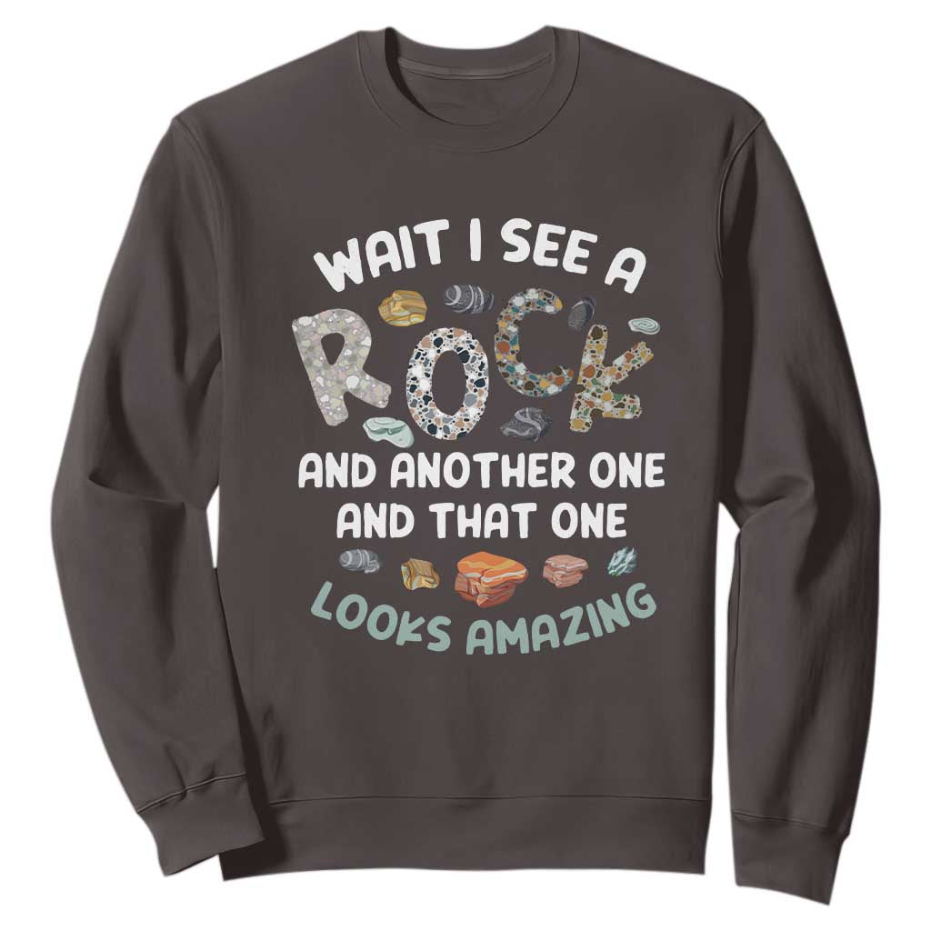 Rock Collector Sweatshirt Wait I See A Rock Geologist TS09 Dark Chocolate Print Your Wear