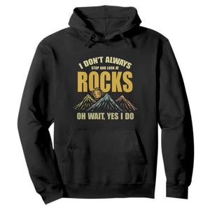 Geologist Hoodie I Don't Always Stop And Look At Rocks TS09 Black Print Your Wear