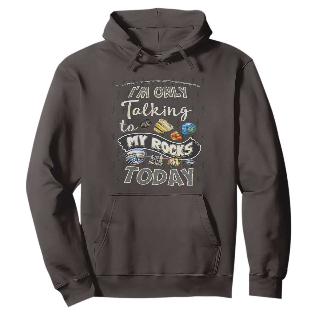 Geologist Hoodie I'm Only Taling To My Rocks Today TS09 Dark Chocolate Print Your Wear