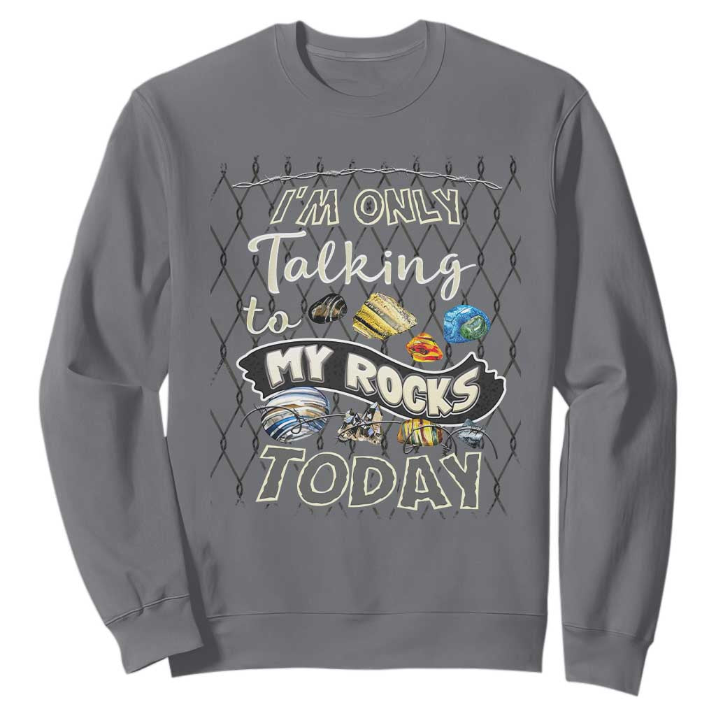 Geologist Sweatshirt I'm Only Taling To My Rocks Today TS09 Charcoal Print Your Wear