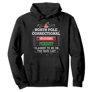 Funny Christmas Family Matching Hoodie North Pole Correctional Perjury TS09 Black Print Your Wear