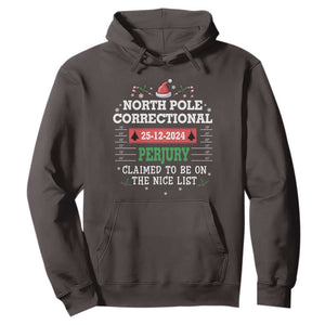 Funny Christmas Family Matching Hoodie North Pole Correctional Perjury TS09 Dark Chocolate Print Your Wear