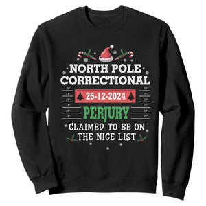 Funny Christmas Family Matching Sweatshirt North Pole Correctional Perjury TS09 Black Print Your Wear