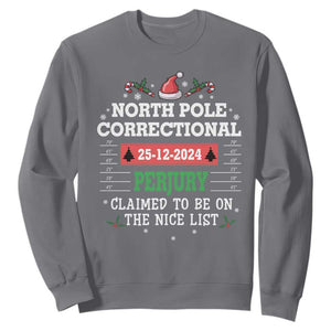 Funny Christmas Family Matching Sweatshirt North Pole Correctional Perjury TS09 Charcoal Print Your Wear