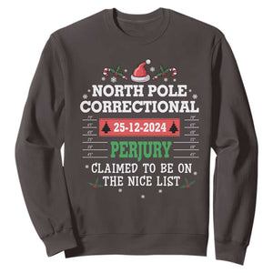 Funny Christmas Family Matching Sweatshirt North Pole Correctional Perjury TS09 Dark Chocolate Print Your Wear