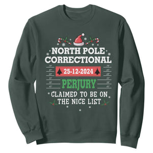 Funny Christmas Family Matching Sweatshirt North Pole Correctional Perjury TS09 Dark Forest Green Print Your Wear