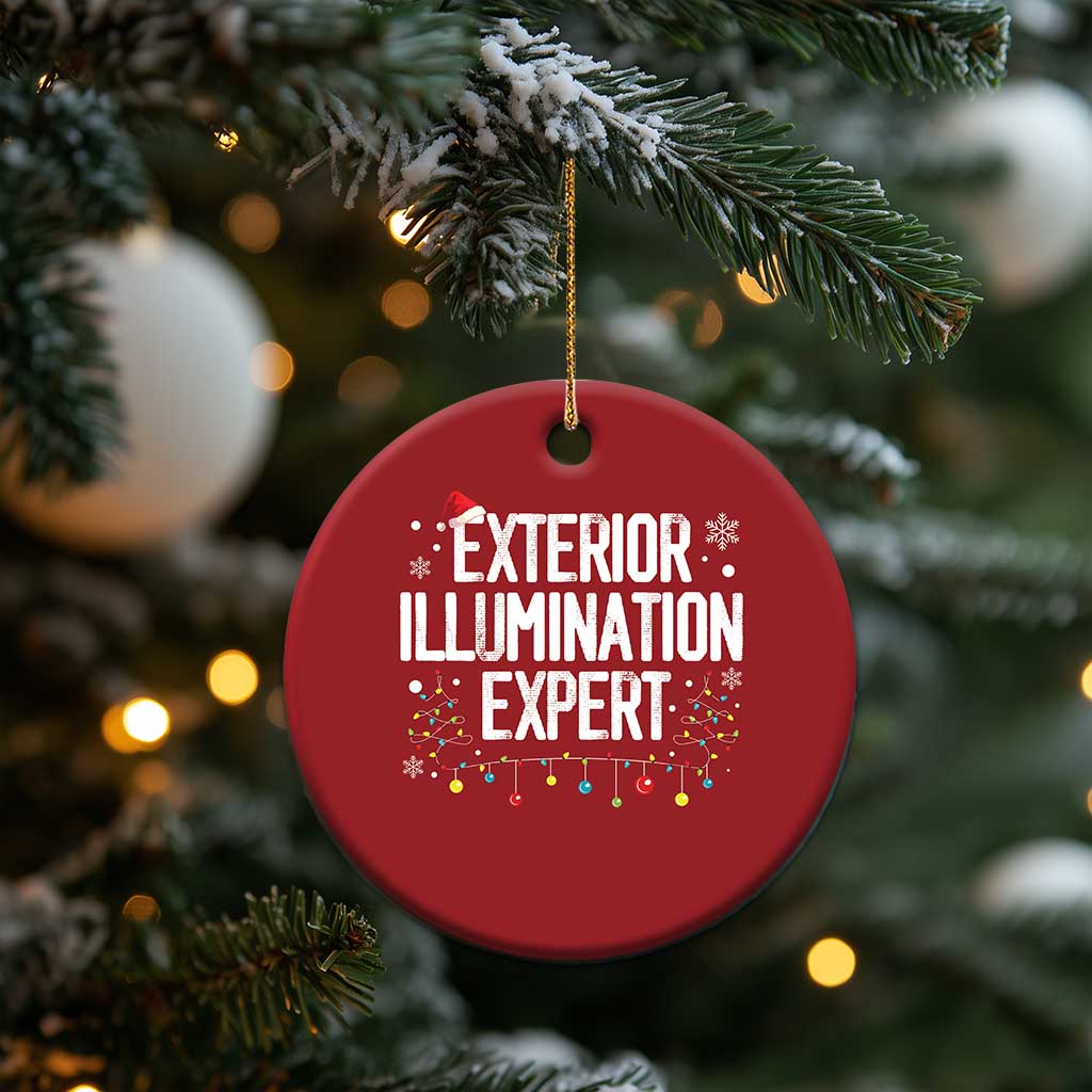 Funny Xmas Christmas Ornament Exterior Illumination Expert Christmas Lights TS09 Print Your Wear