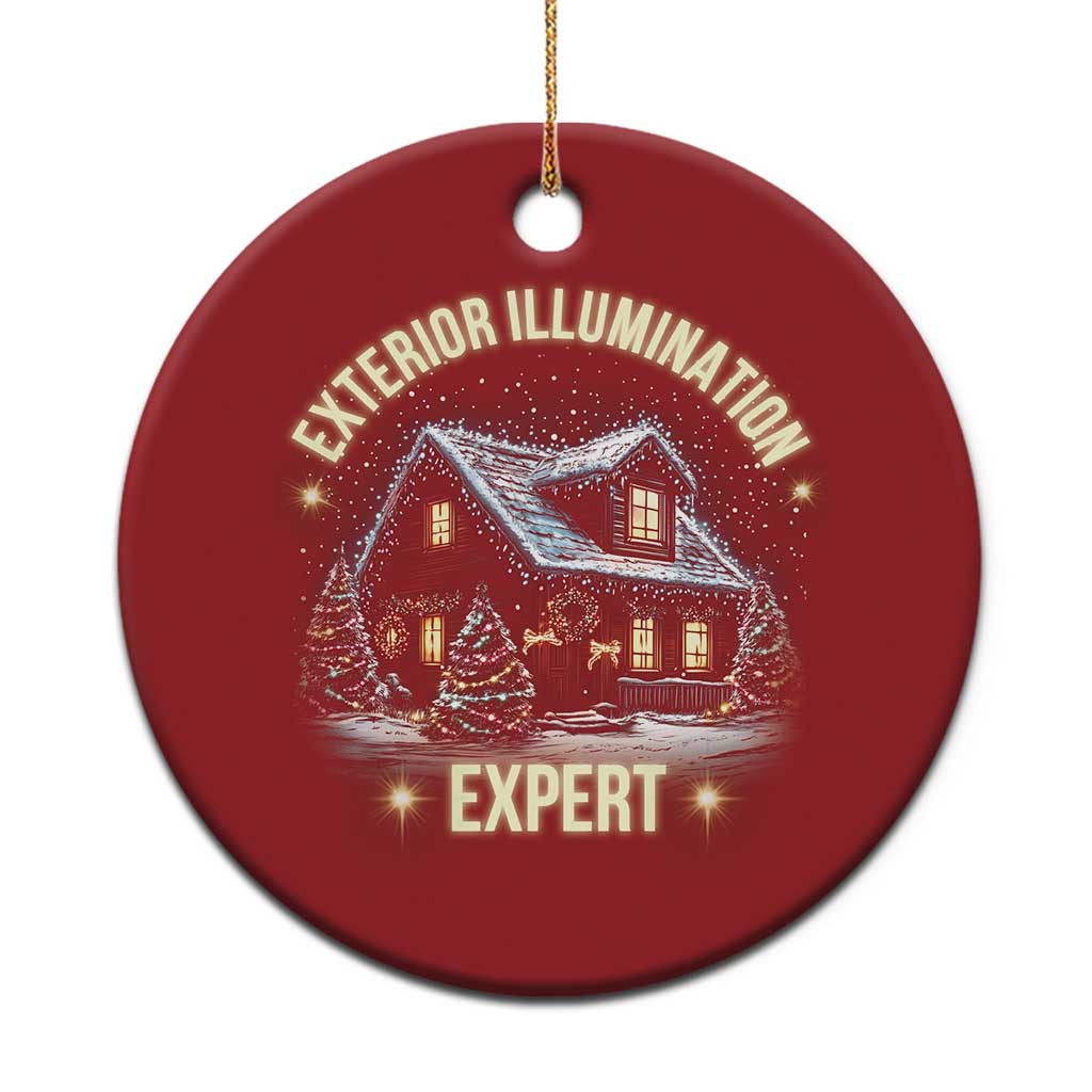 Funny Xmas Christmas Ornament Exterior Illumination Expert Christmas Lights Home TS09 Print Your Wear