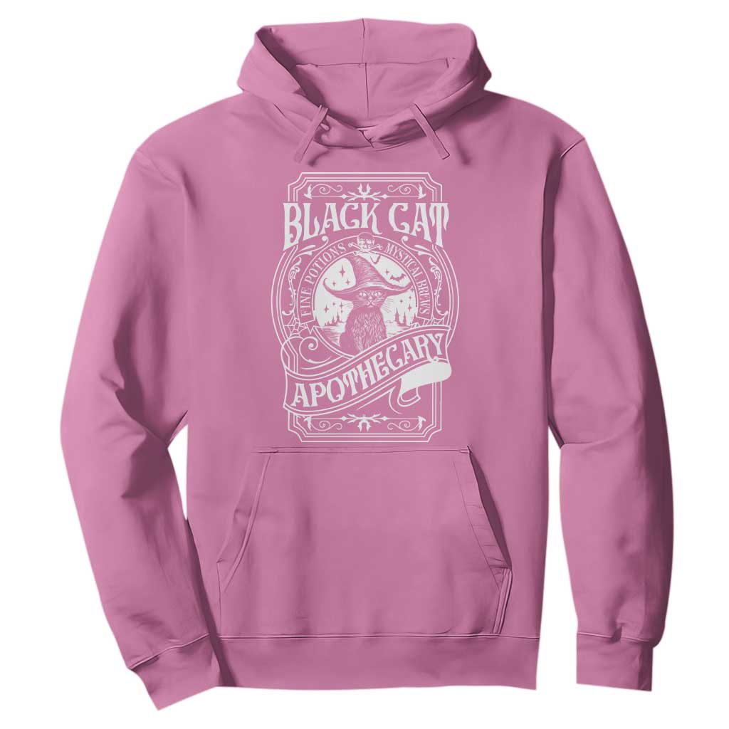 Black Cat Witch Hoodie Salem Apothecary Graphic Halloween TS09 Azalea Print Your Wear