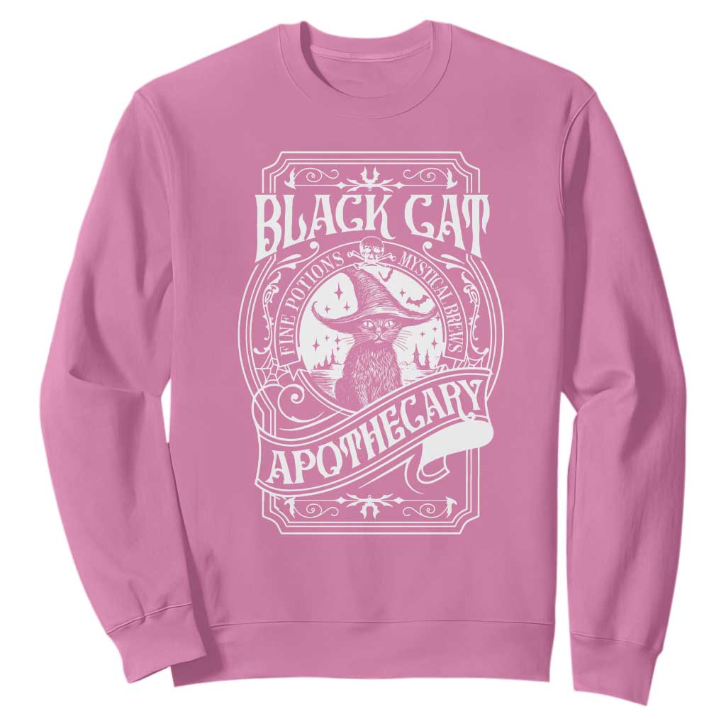 Black Cat Witch Sweatshirt Salem Apothecary Graphic Halloween TS09 Azalea Print Your Wear