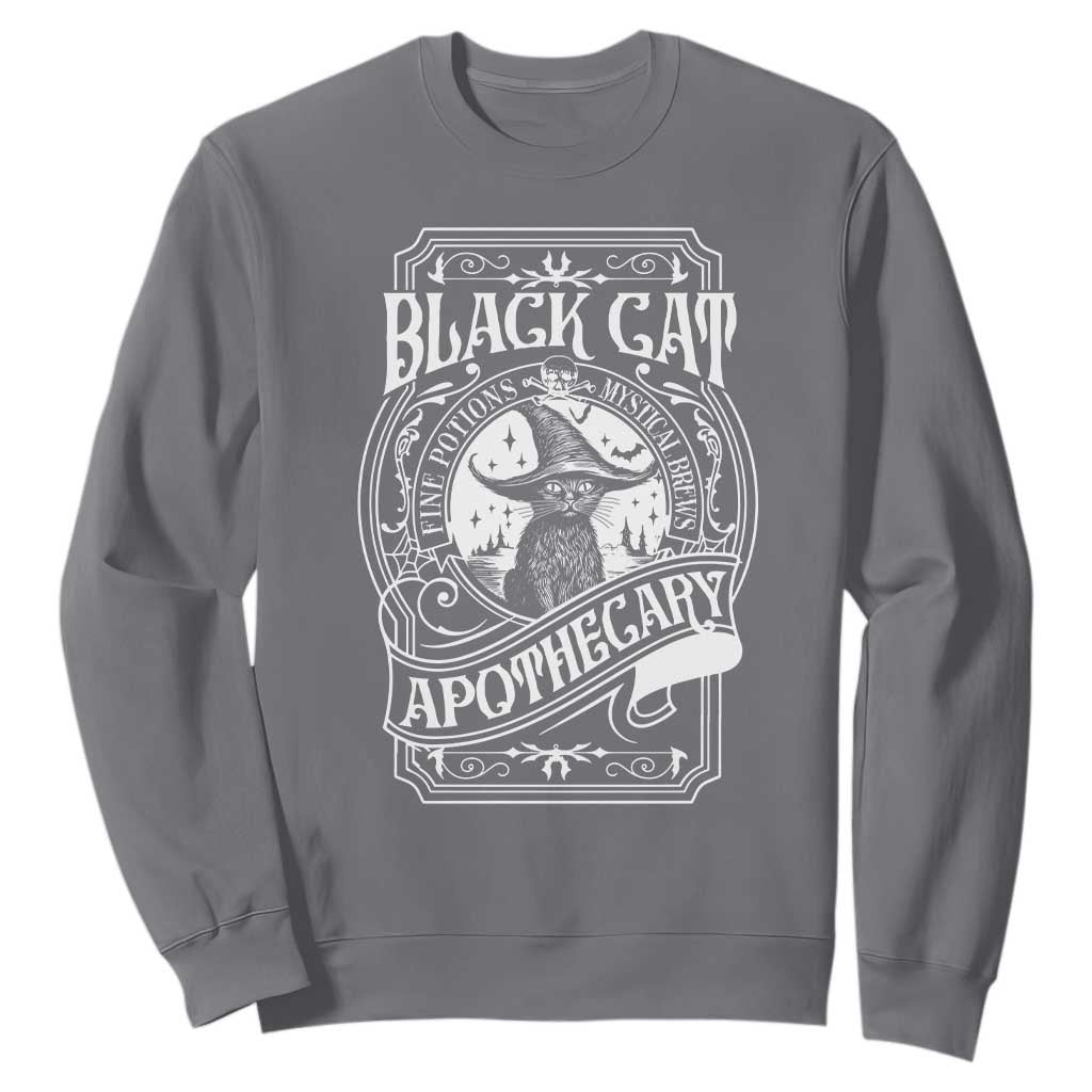 Black Cat Witch Sweatshirt Salem Apothecary Graphic Halloween TS09 Charcoal Print Your Wear
