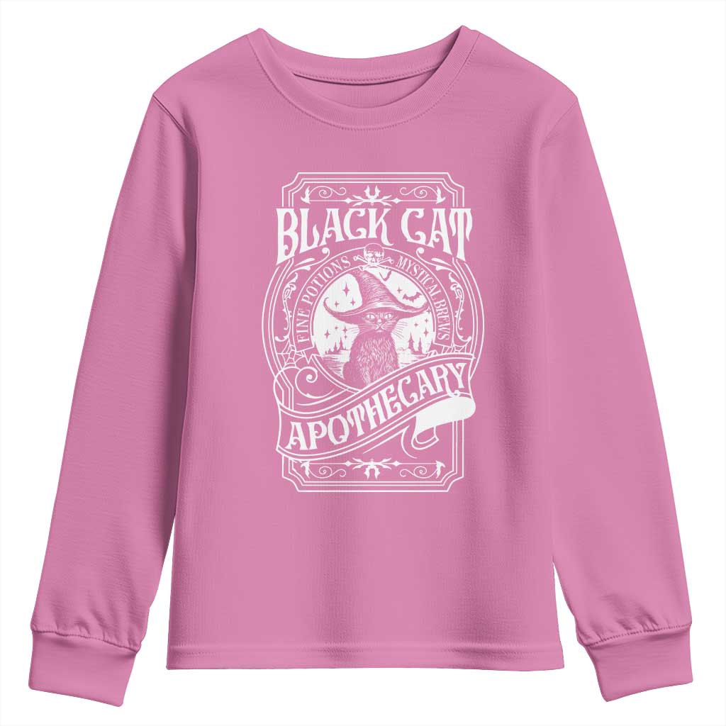 Black Cat Witch Youth Sweatshirt Salem Apothecary Graphic Halloween TS09 Azalea Print Your Wear