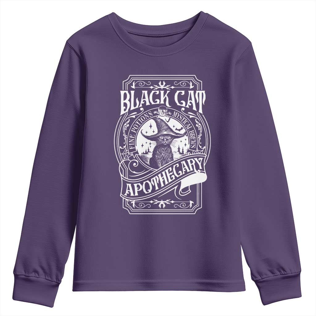 Black Cat Witch Youth Sweatshirt Salem Apothecary Graphic Halloween TS09 Purple Print Your Wear