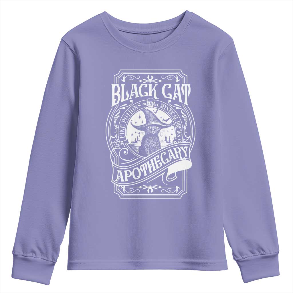 Black Cat Witch Youth Sweatshirt Salem Apothecary Graphic Halloween TS09 Violet Print Your Wear
