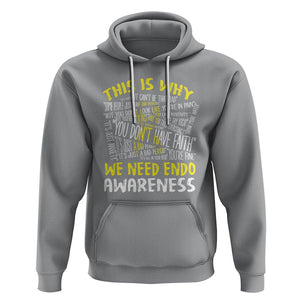 This Is Why We Need Endometriosis Awareness Hoodie TS09 Sport Gray Printyourwear