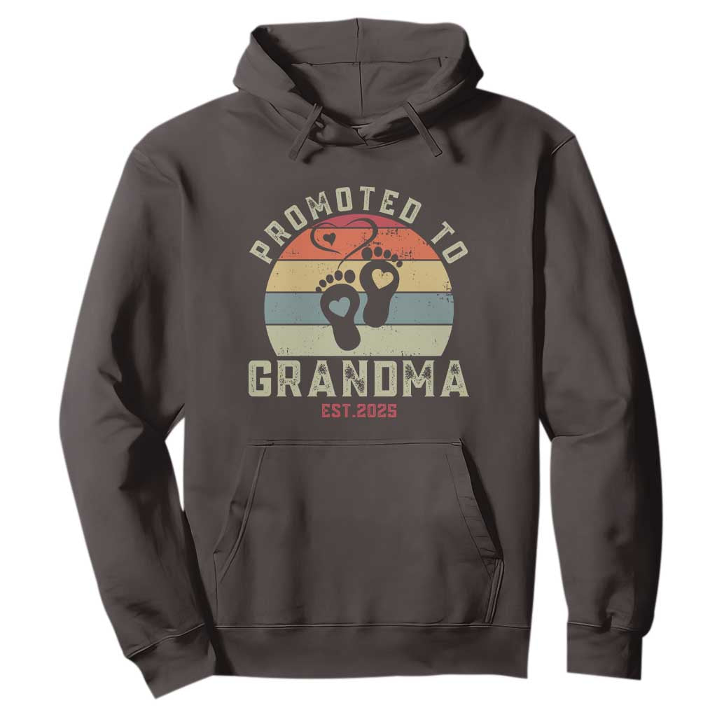 Retro Promoted To Grandma est 2025 Hoodie TS09 Dark Chocolate Print Your Wear