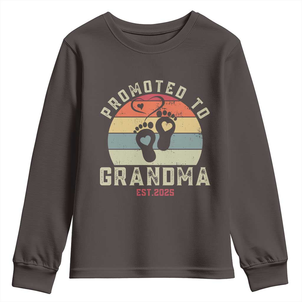 Retro Promoted To Grandma est 2025 Youth Sweatshirt TS09 Dark Chocolate Print Your Wear