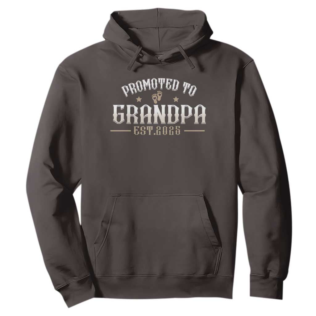Retro Promoted To Grandpa est 2025 Hoodie TS09 Dark Chocolate Print Your Wear