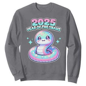 Year Of The Snake 2025 Sweatshirt Cute Snake Happy New Year TS09 Charcoal Print Your Wear