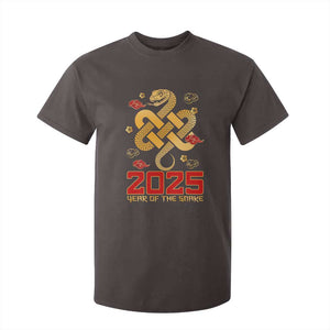 Year Of The Snake 2025 T Shirt For Kid Lunar New Year Chinese Traditional TS09 Dark Chocolate Print Your Wear