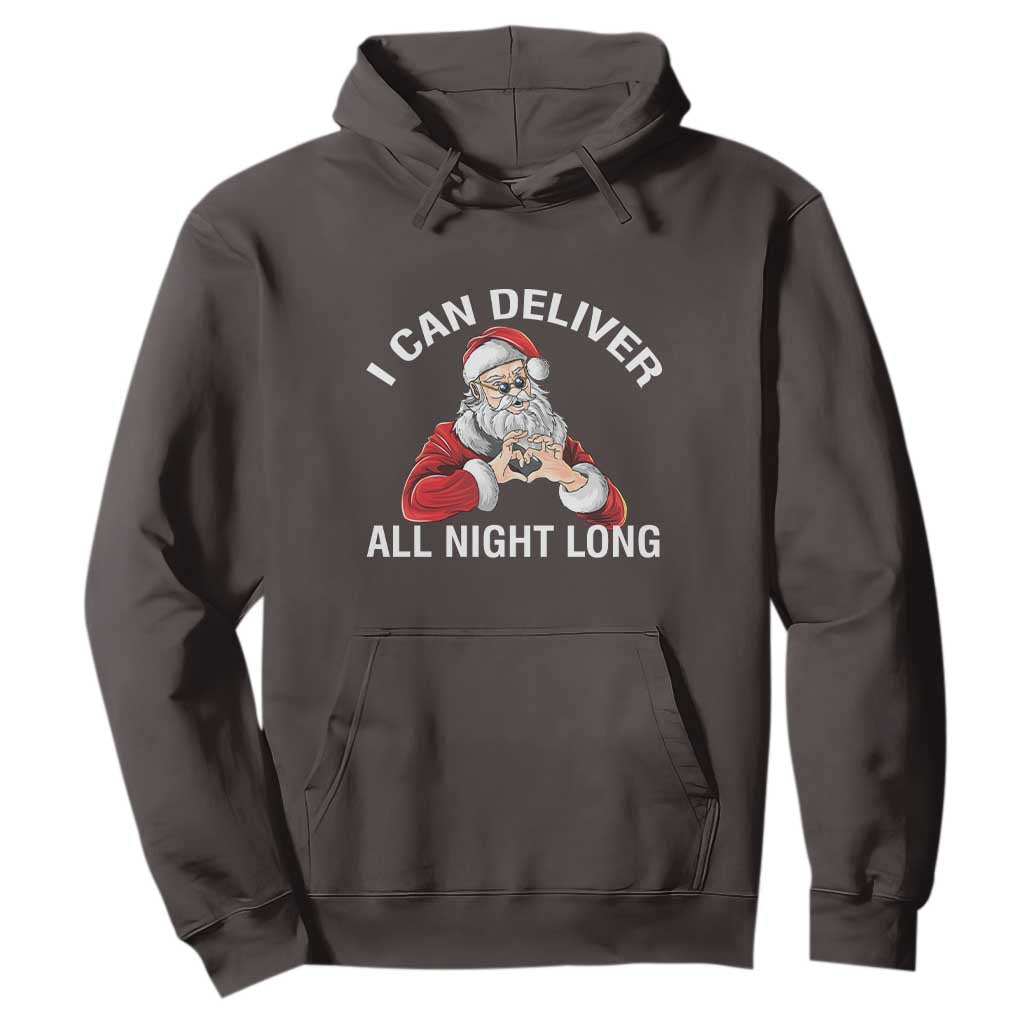 Funny Chrsitmas Hoodie I Can Deliver All Night Long TS09 Dark Chocolate Print Your Wear