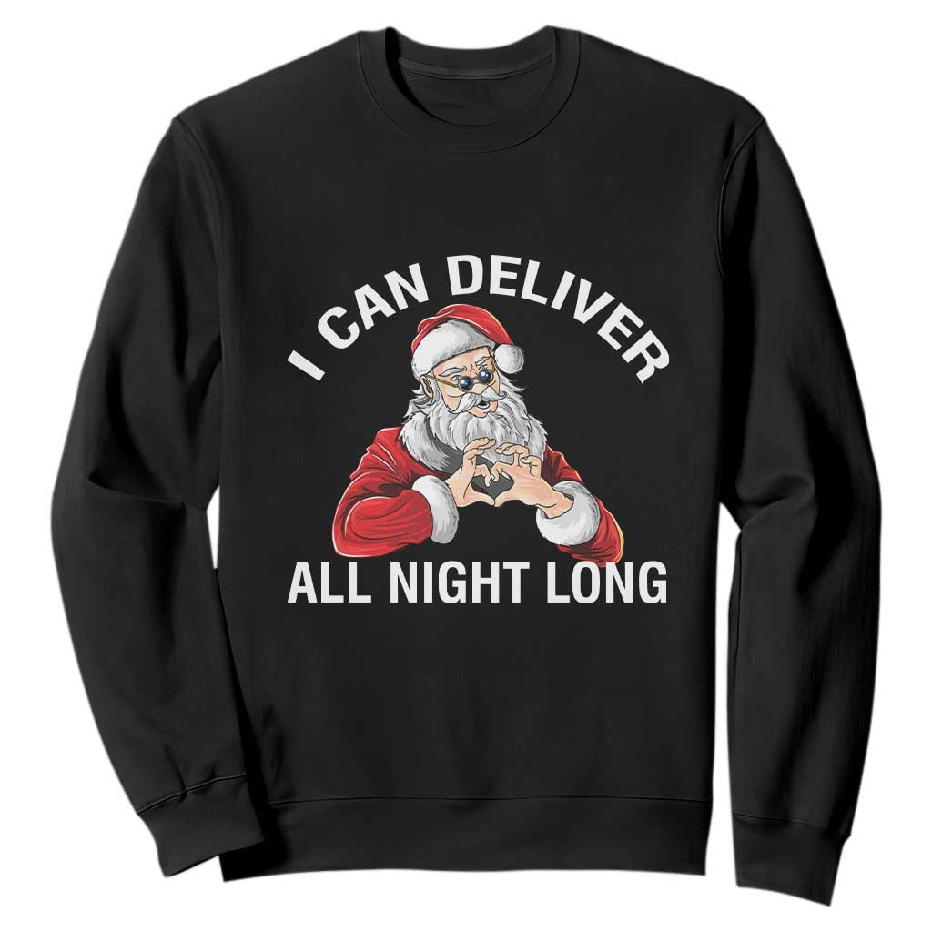 Funny Chrsitmas Sweatshirt I Can Deliver All Night Long TS09 Black Print Your Wear